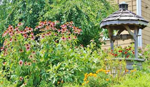 Cómo hacer un buen drenaje en el jardín y diseñar un rincón florido, en Pixabay.